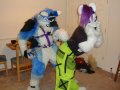 1262405836.wintersnowolf_2010.jpg